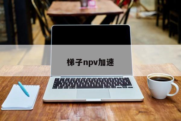 梯子npv加速