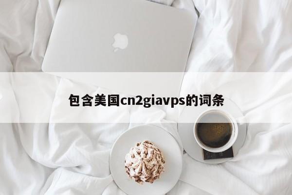 包含美国cn2giavps的词条