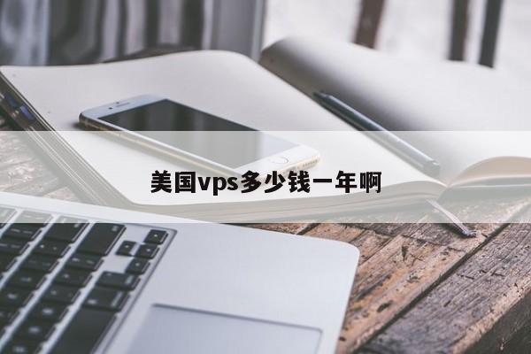 美国vps多少钱一年啊