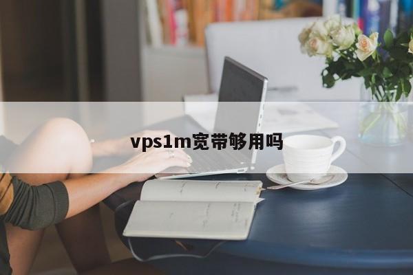 vps1m宽带够用吗