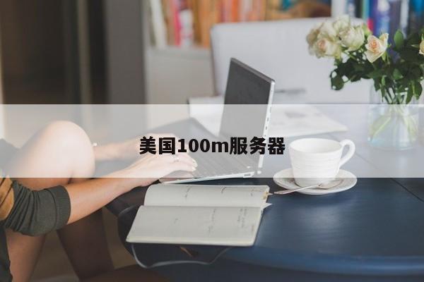 美国100m服务器